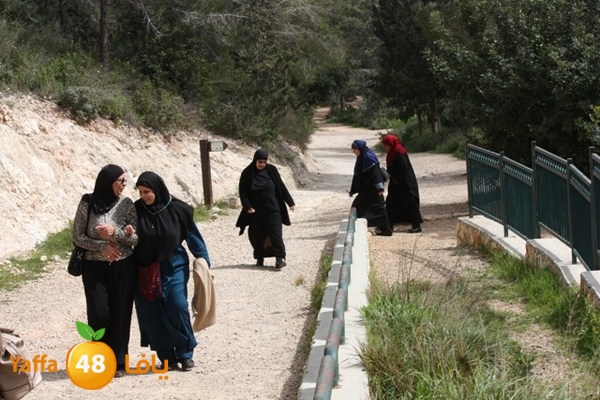 re7la7efa483 (71).JPG